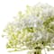 10" White Baby's Breath Bundle by Ashland®